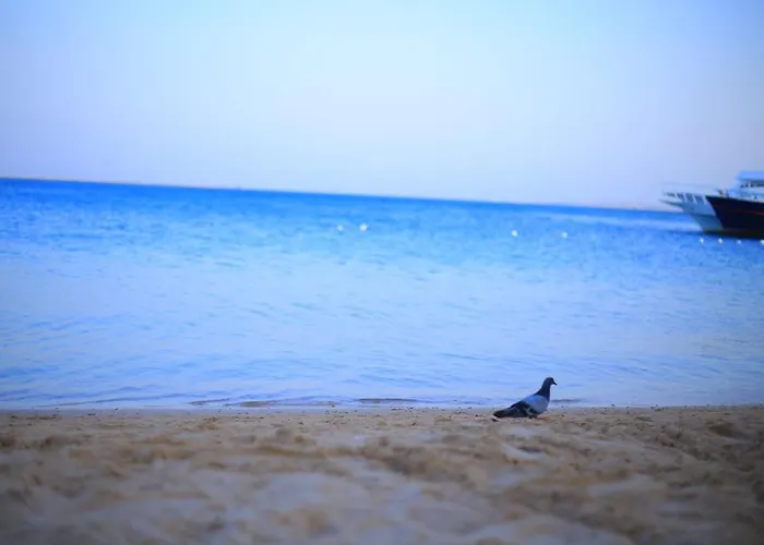 Al Makramia Compound A4 * Gurdaka